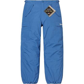 Blue Supreme GORE-TEX PACLITE® Cargo Pant Pants | NZ411OR