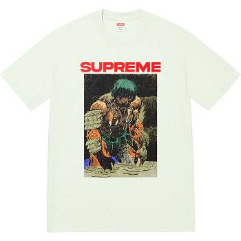 Mint Supreme Ronin Tee T Shirts | NZ238KI