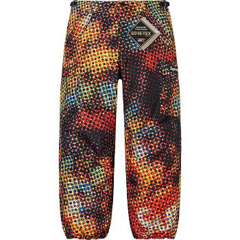 Multicolor Supreme GORE-TEX PACLITE® Cargo Pant Pants | NZ410IS